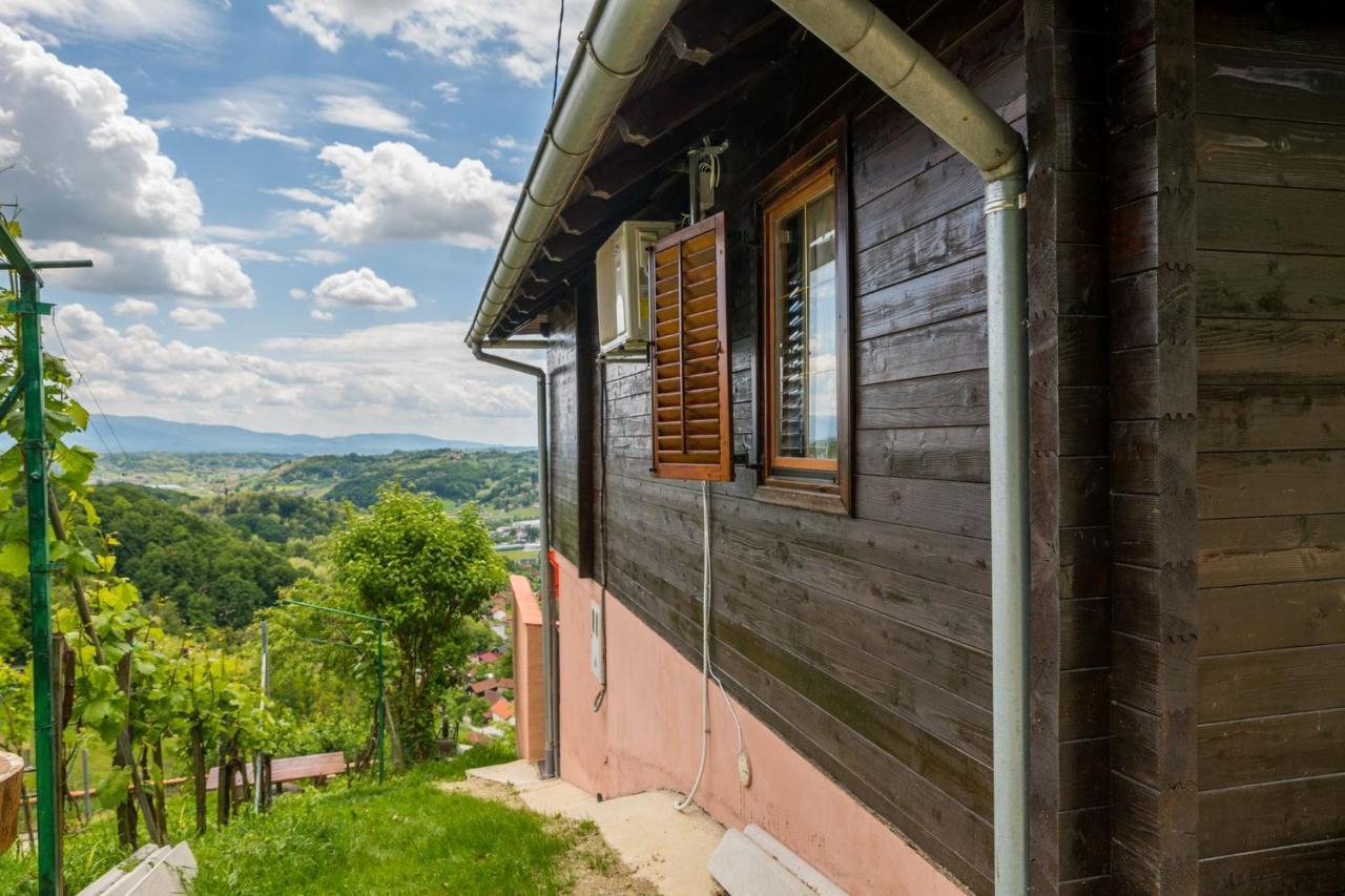 Hygge Hill Villa Крапинске Топлице Екстериор снимка